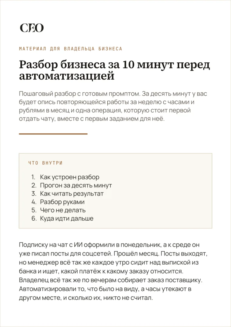 Первая страница материала «Разбор бизнеса за 10 минут перед автоматизацией»